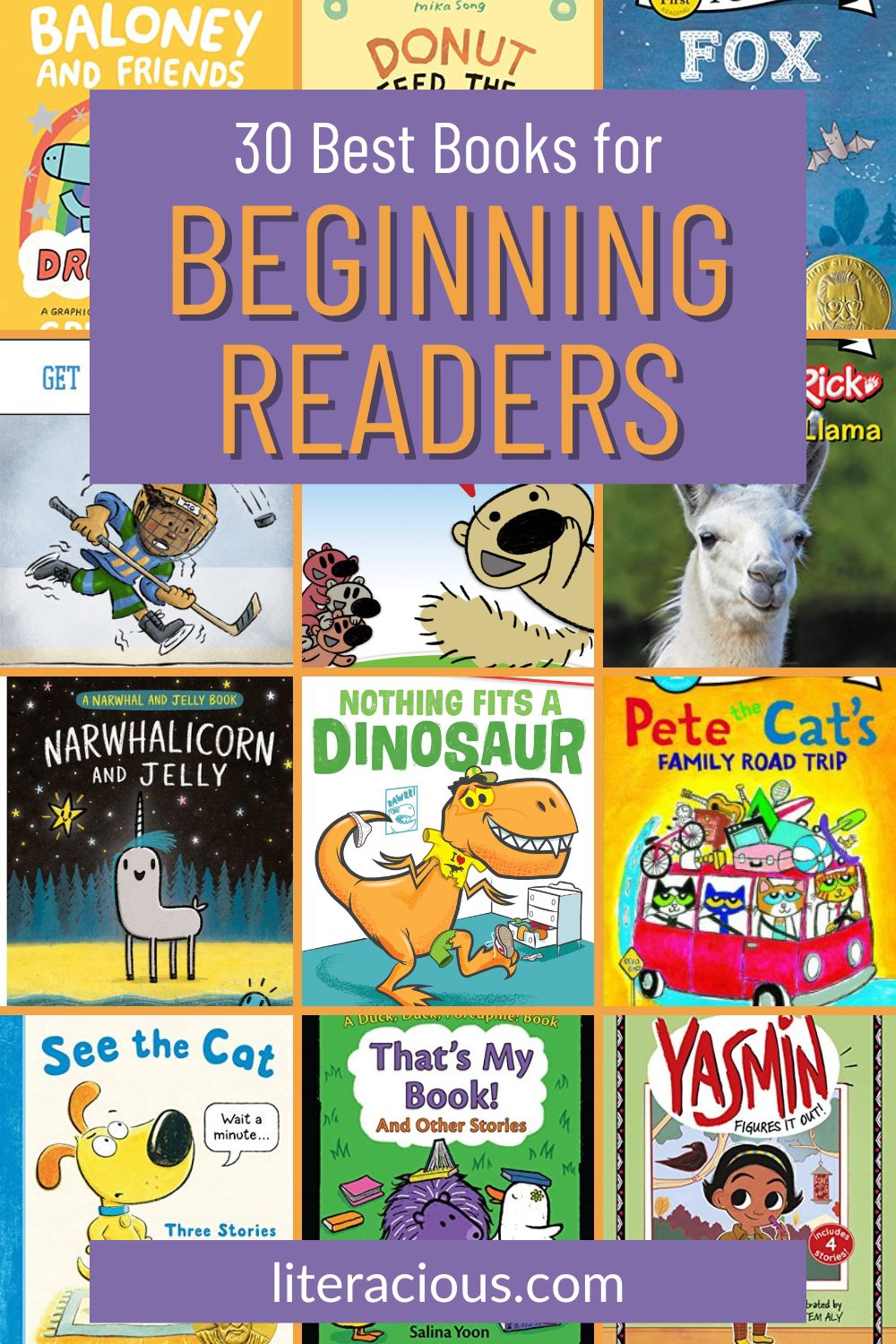 30 Best Books For Beginning Readers – Literacious